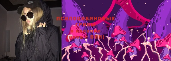 герыч Арсеньев