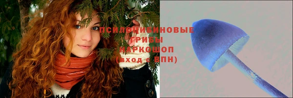 прущие крисы Карталы