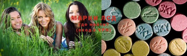 герыч Арсеньев