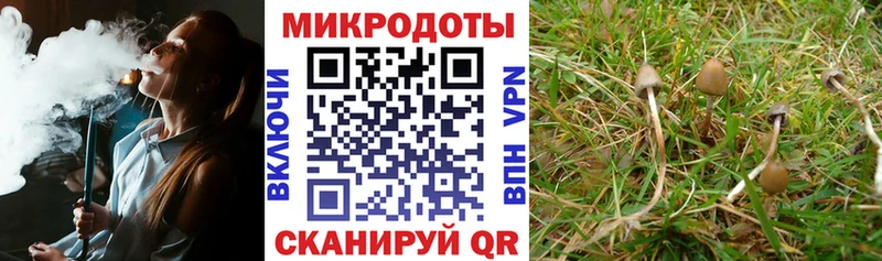 Галлюциногенные грибы Psilocybine cubensis  где купить   Сясьстрой 